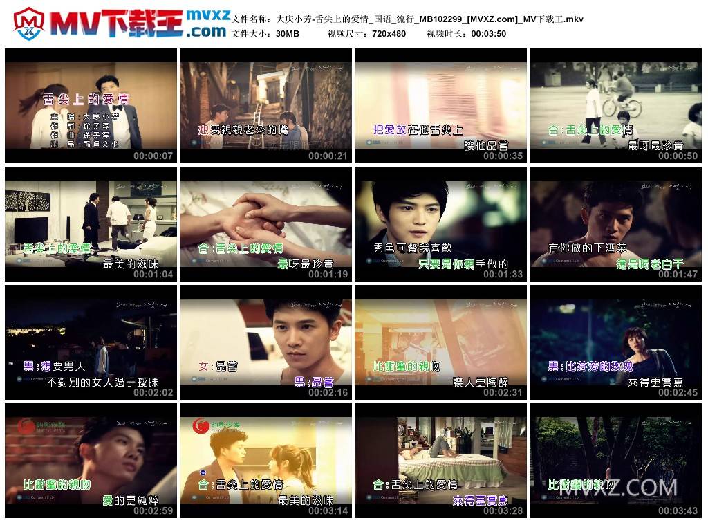 大庆小芳-舌尖上的爱情_国语_流行_MB102299